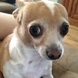 Meet your Posher, Nancy